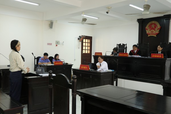 Xúc phạm vợ chồng bà Nguyễn Phương Hằng, Đinh Thị Lan lãnh 1 năm 9 tháng tù