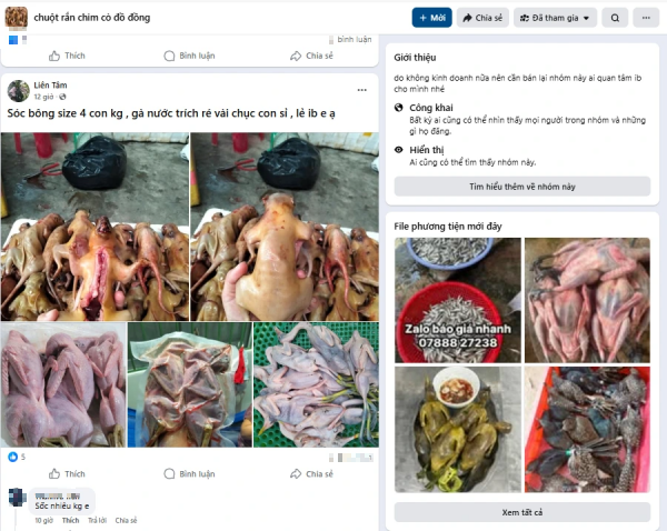 Bán chim trời, thú rừng công khai thách thức pháp luật