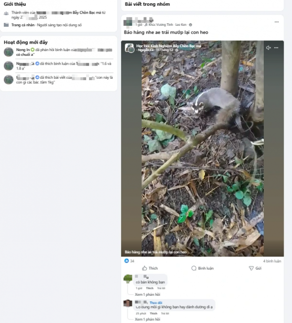 Bán chim trời, thú rừng công khai thách thức pháp luật