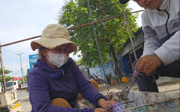 Bán chim trời, thú rừng công khai thách thức pháp luật