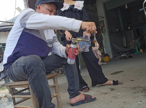 Bán chim trời, thú rừng công khai thách thức pháp luật