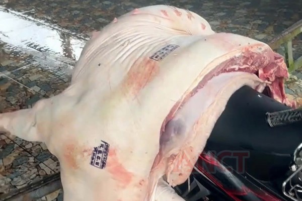 Bắt 3 cán bộ thú y liên quan vụ bán thịt nhiễm dịch tả heo châu Phi ở chợ