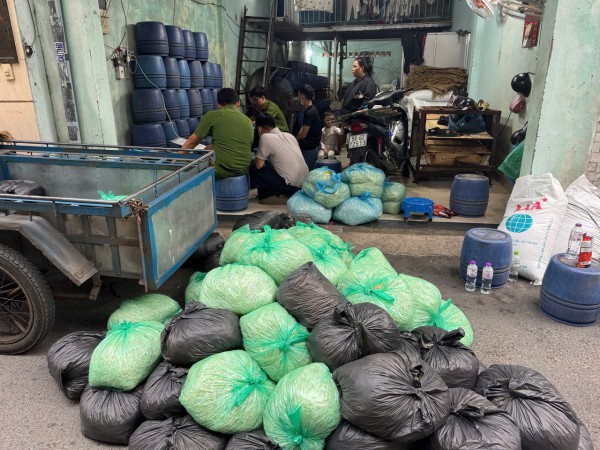 Bắt 3 lò sản xuất hơn 1.000 tấn giá đỗ ngậm hóa chất cấm