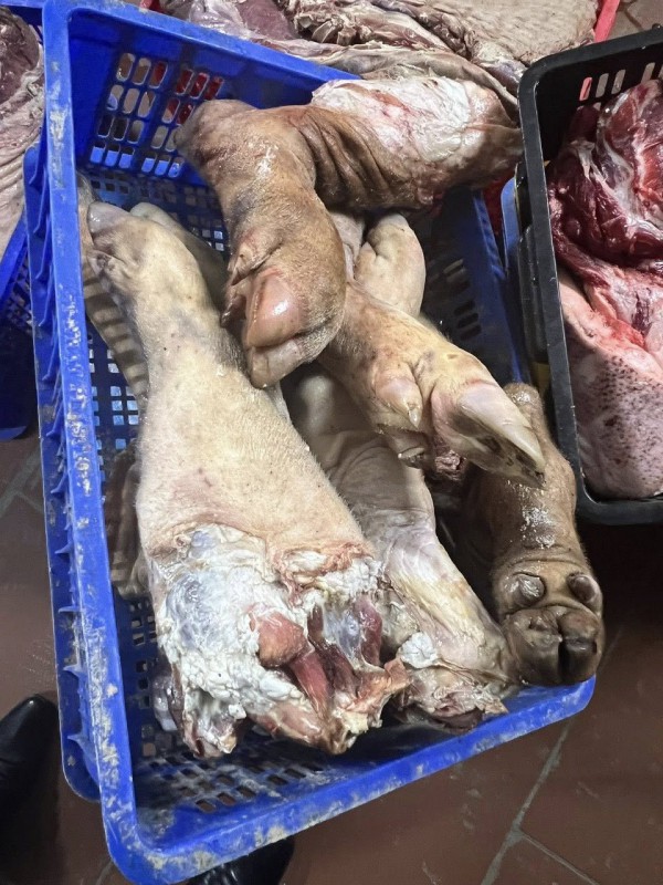 Bắt chủ lò mổ trữ đông 38 tấn thịt heo nhiễm bệnh để tuồn ra thị trường