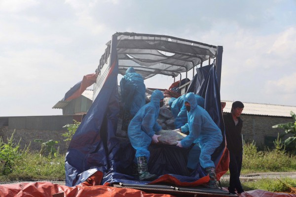 Bắt chủ lò mổ trữ đông 38 tấn thịt heo nhiễm bệnh để tuồn ra thị trường Bắt chủ lò mổ trữ đông 38 tấn thịt heo nhiễm bệnh để tuồn ra thị trường