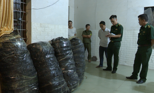 Bắt tài xế vận chuyển 115 kg cần sa khô