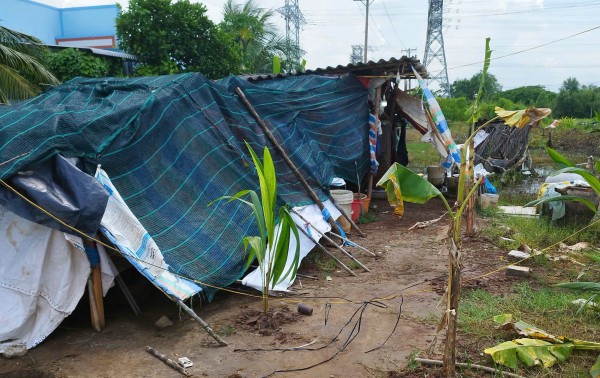 Cà Mau: Chiếm đất nông nghiệp trái phép, bị xử phạt 105 triệu đồng