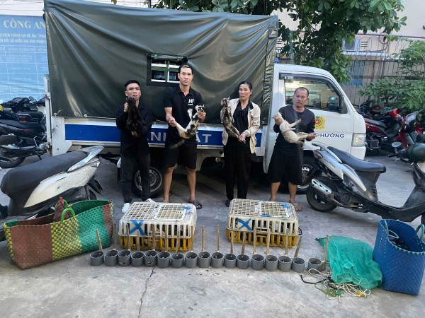 Công an TP.HCM phá đường dây trộm cắp, thu giữ hơn 500 con mèo