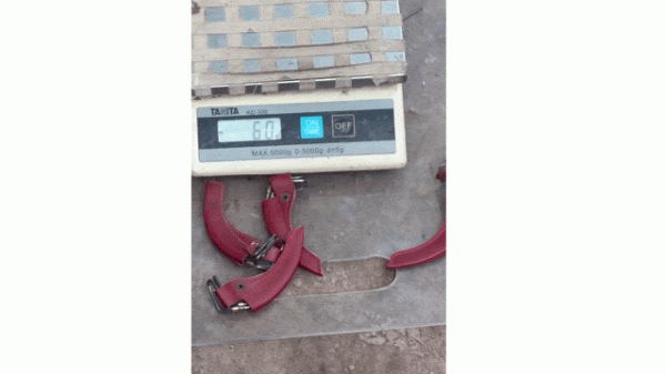 Công an TP.HCM triệt phá sới gà 