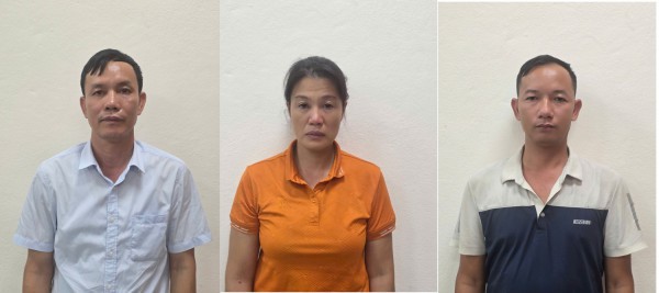 Giám đốc công ty lâm nghiệp bị bắt vì khai thác gỗ tự nhiên trái phép Giám đốc công ty lâm nghiệp bị bắt vì khai thác gỗ tự nhiên trái phép