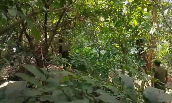 Khống chế người đàn ông gây thương tích rồi cố thủ trong hang đá