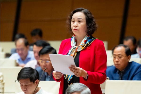 Mô hình thi hành án dân sự: Đại biểu Quốc hội chỉ ra nhiều bất cập