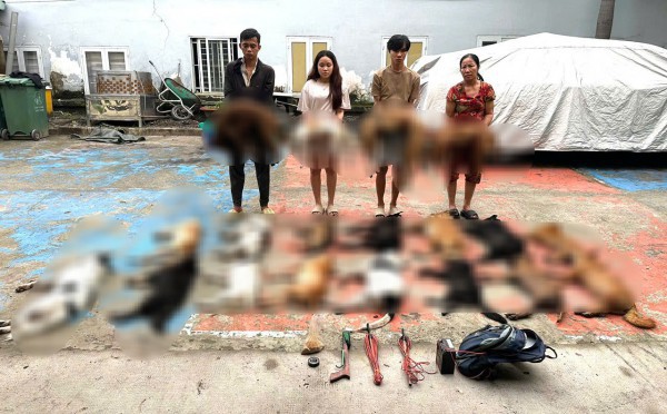 Nhức nhối trộm chó, mèo ở TP.HCM - Kỳ 3: Mạnh tay dẹp nạn trộm thú cưng