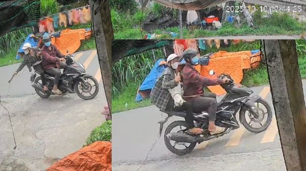 Nhức nhối trộm chó mèo ở TP.HCM: Manh động và táo tợn