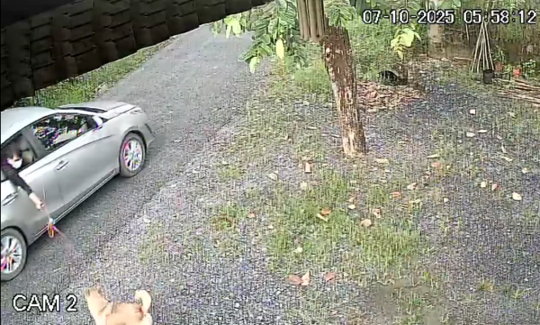 Nhức nhối trộm chó mèo ở TP.HCM: Manh động và táo tợn