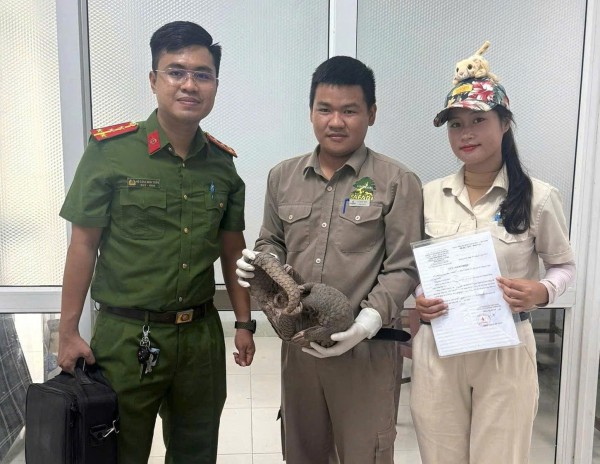 Phá đường dây buôn bán tê tê quý hiếm cho nhà hàng, tạm giữ 3 nghi phạm