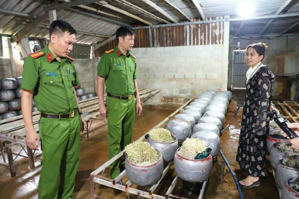 Phát hiện cơ sở dùng chất cấm sản xuất giá đỗ với số lượng lớn