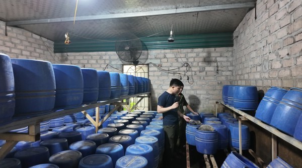 Quảng Ninh phát hiện xưởng sản xuất háng tấn giá đỗ dùng chất cấm