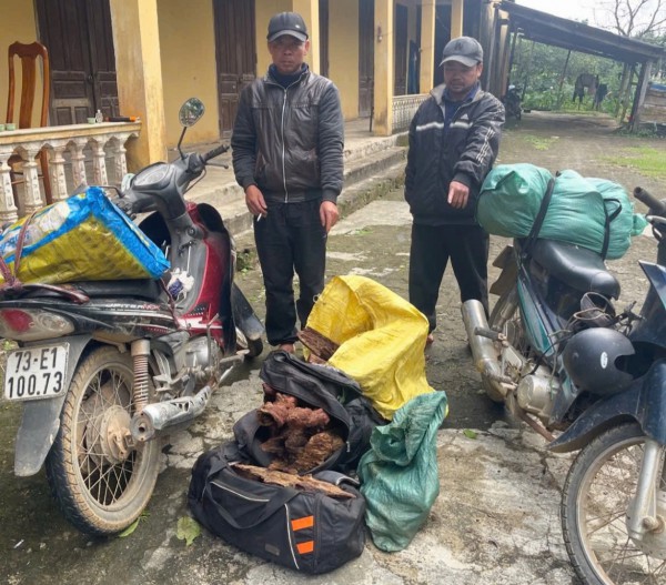 Quảng Trị: Bị khởi tố vì vận chuyển 43 kg thịt sơn dương