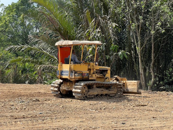 San lấp trái phép 1.800 m2 giữa rừng cây TP.HCM: Phải chờ chủ đất về mới xử lý?