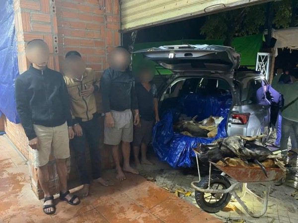 Triệt phá đường dây trộm chó quy mô lớn, thu giữ hơn 1,5 tấn tang vật