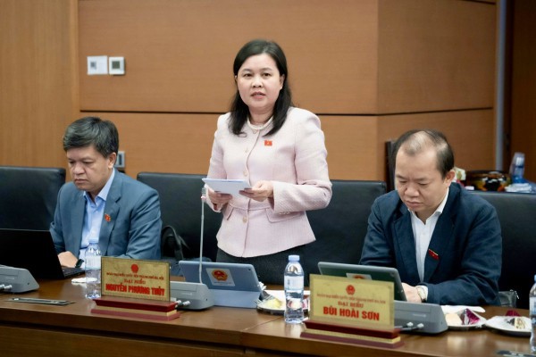 Đại biểu Quốc hội nói gì về giao quyền cưỡng chế thi hành án cho tư nhân?