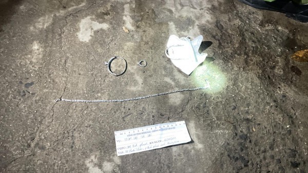 Đồng Nai: Bắt nữ giúp việc trộm nữ trang trị giá hơn 300 triệu đồng