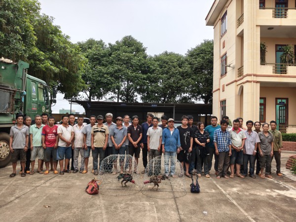 Đột kích trường gà ở Gia Lai, bắt giữ 31 người