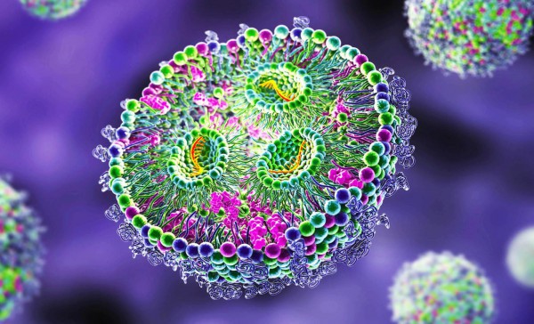 Phát hiện dạng sống mới trong cơ thể người