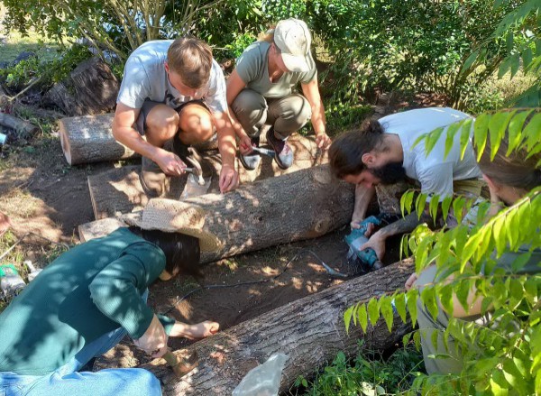 Bùng nổ xu hướng du lịch miễn phí của giới trẻ