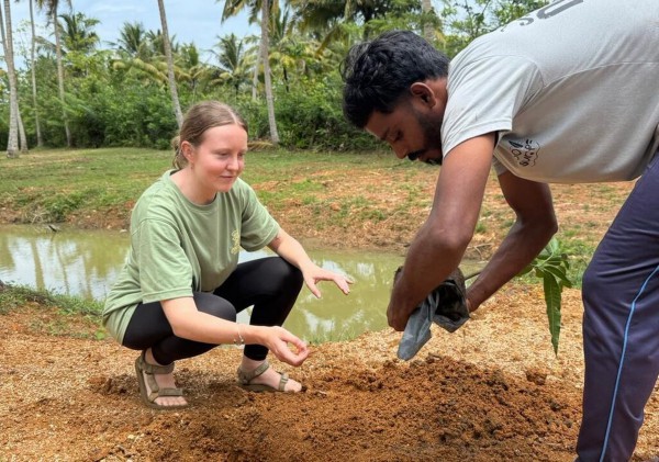 Bùng nổ xu hướng du lịch miễn phí của giới trẻ
