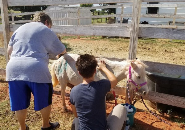 Bùng nổ xu hướng du lịch miễn phí của giới trẻ