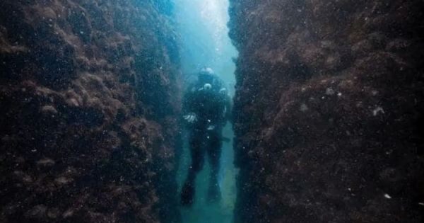 Những phát hiện khảo cổ gây chấn động thế giới năm 2025