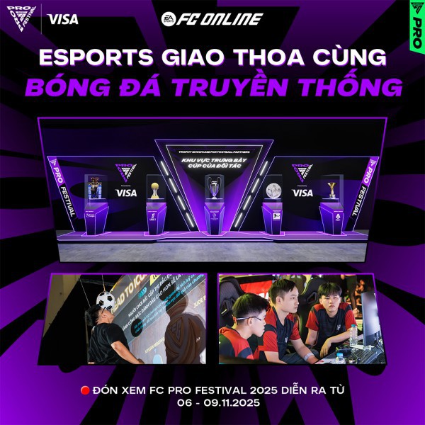 Việt Nam đăng cai FC Pro Festival 2025, chào đón huyền thoại Ricardo Kaká và Luís Figo Việt Nam đăng cai FC Pro Festival 2025, chào đón huyền thoại Ricardo Kaká và Luís Figo