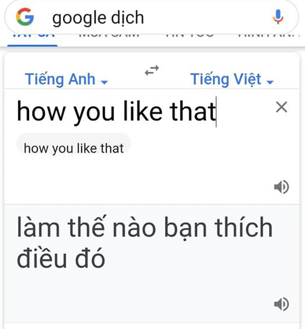 Blink Việt bỗng dưng “nhức não” khi MisThy thắc mắc “How You Like That” nghĩa là gì?” Blink Việt bỗng dưng “nhức não” khi MisThy thắc mắc “How You Like That” nghĩa là gì?”