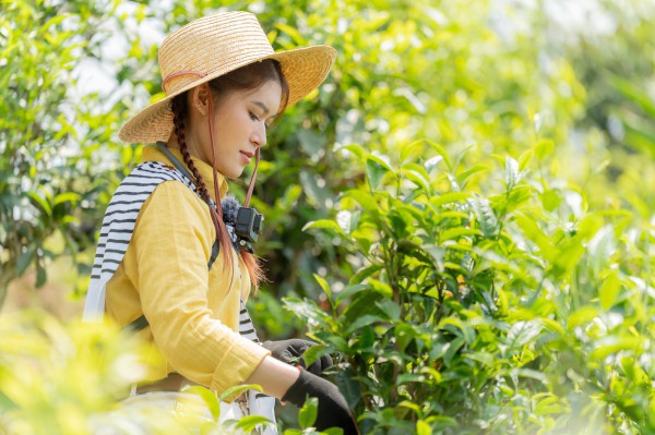 Chị Thông, anh Điệp là ai mà 