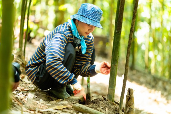 Chị Thông, anh Điệp là ai mà 