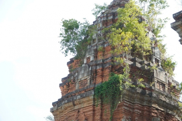 Cần khảo cổ quy mô lớn để trùng tu tháp Chăm cao nhất Đông Nam Á Cần khảo cổ quy mô lớn để trùng tu tháp Chăm cao nhất Đông Nam Á
