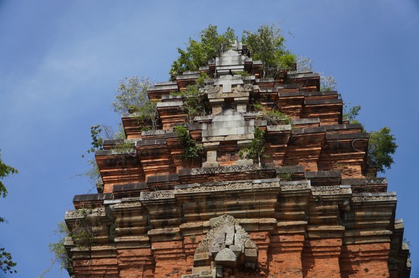 Cần khảo cổ quy mô lớn để trùng tu tháp Chăm cao nhất Đông Nam Á Cần khảo cổ quy mô lớn để trùng tu tháp Chăm cao nhất Đông Nam Á