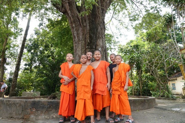 Cặp me cổ thụ hàng trăm năm tuổi - báu vật của ngôi chùa Khmer miền Tây