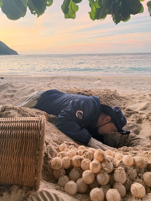 Chạm vào hơi thở đại dương: Hành trình bảo tồn rùa biển của chàng trai Tây Ninh