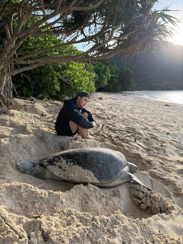 Chạm vào hơi thở đại dương: Hành trình bảo tồn rùa biển của chàng trai Tây Ninh