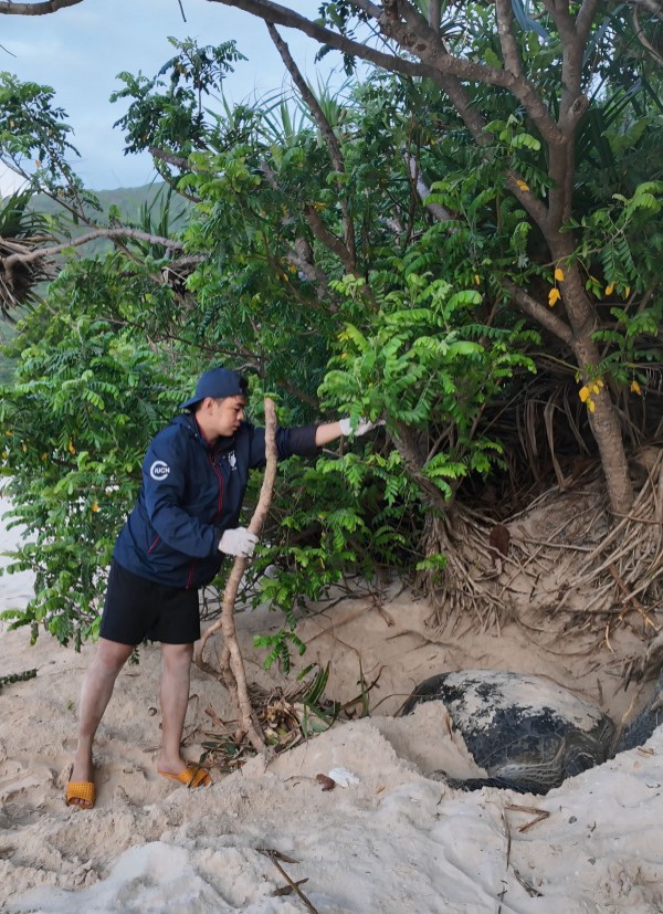 Chạm vào hơi thở đại dương: Hành trình bảo tồn rùa biển của chàng trai Tây Ninh