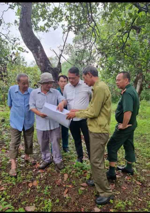 Chung mạch ngầm cảm xúc của 