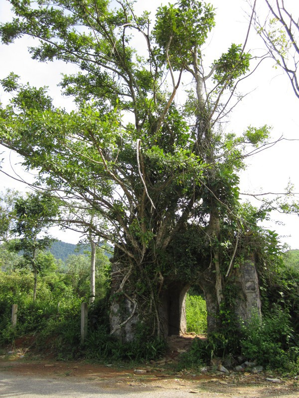 Cuộc khởi nghĩa Cần Vương đầu tiên