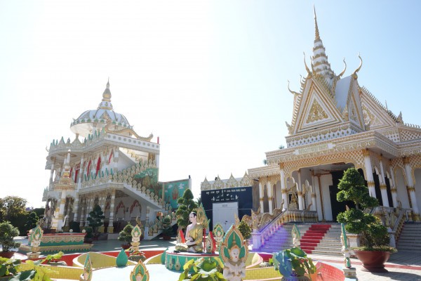 Ghe ngo hơn 20 năm tuổi được 