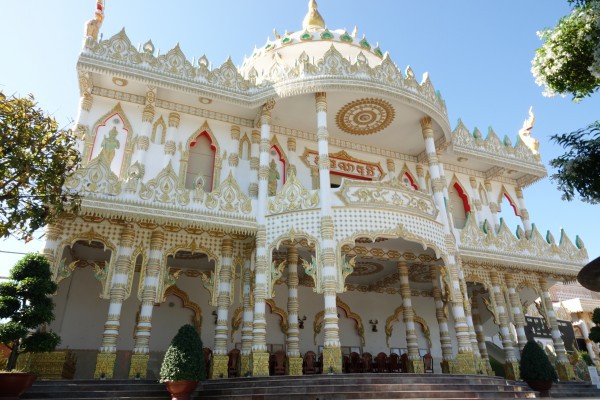 Ghe ngo hơn 20 năm tuổi được 