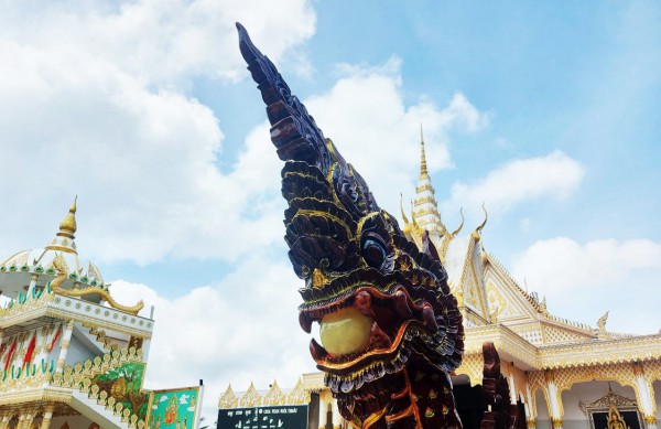 Ghe ngo hơn 20 năm tuổi được 