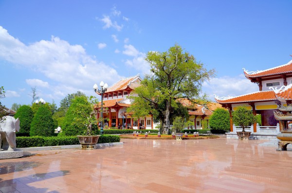 Hào khí nhà Tây Sơn vọng về từ ký ức: Cây me, giếng nước kể chuyện xưa