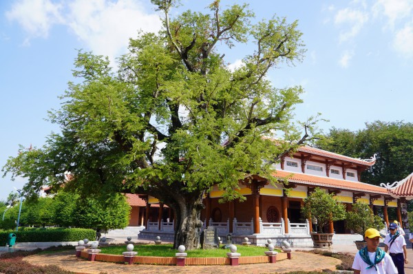 Hào khí nhà Tây Sơn vọng về từ ký ức: Cây me, giếng nước kể chuyện xưa